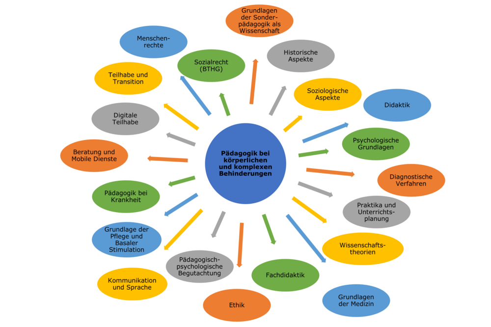 Auf diesem Bild sehen Sie eine Mindmap mit Studienhalten des Lehrstuhls für Körperbehindertenpädagogik.